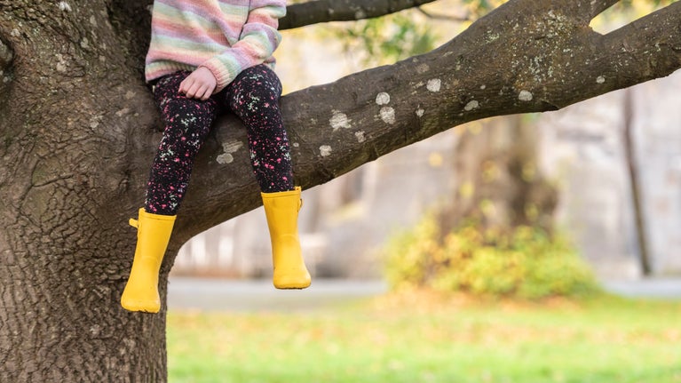 The legs of a child in bright yellow wellington boots are seen dangling from an autumnal tree at Penrhyn Castle